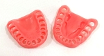 860 Upper and Lower Gingiva with Edentulous 5, 20